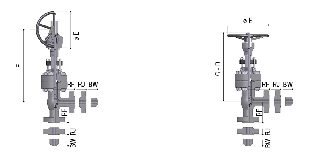 ASME 600 (PN 100)