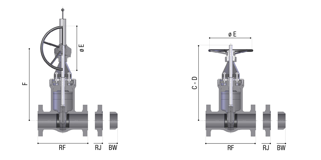 Class ASME 600 (PN 100)