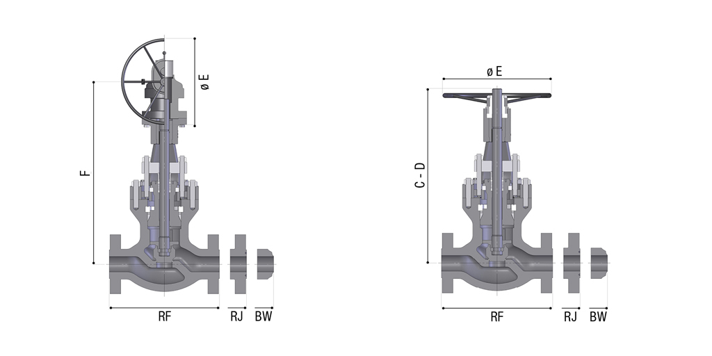 Class ASME 600 (PN 100)