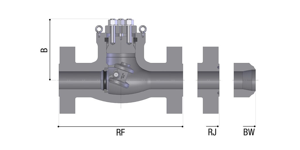 Class ASME 600 (PN 100)