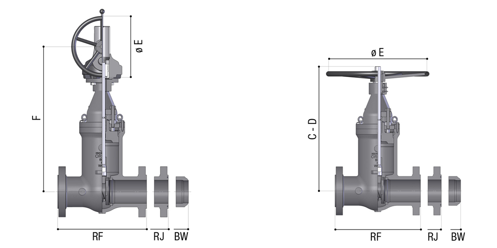 Class ASME 600 (PN 100)