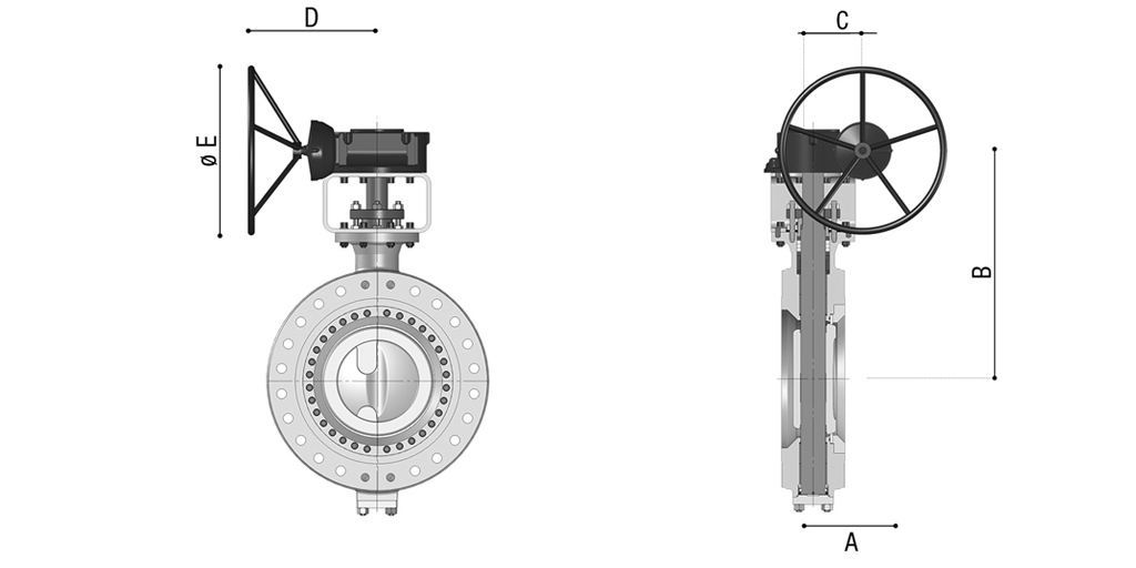 ASME 300 (PN 50)