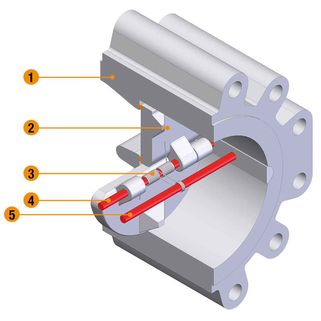 Dual Plate Lug Check Valves