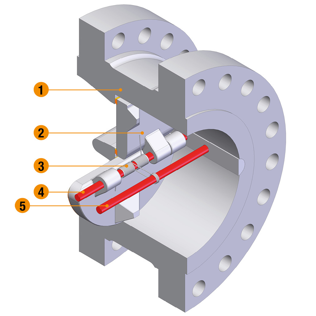 Double Flanged Check Valves