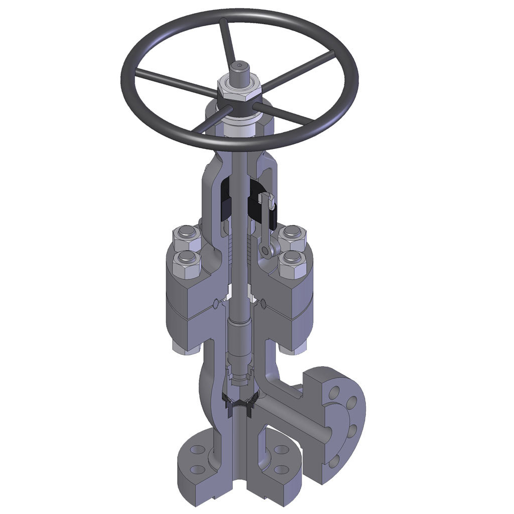 Angle Globe Valves